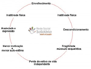 ciclo do envelhecimeto