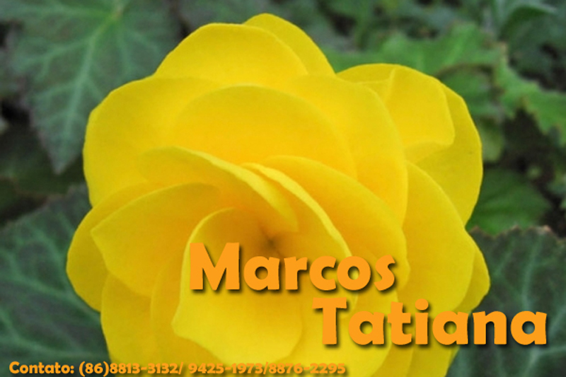 Marcos Tatiana Flores