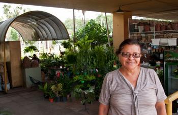 Novos quiosques de floristas serão sorteados nesta terça-feira (26)