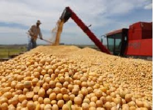 Piauí tem o maior crescimento de área plantada de soja do país