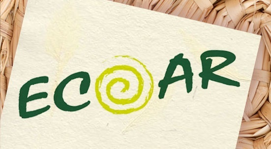 Ecoando Liberdade dá oportunidade a adolescentes