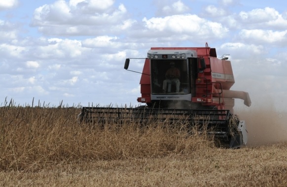 Conab indica queda de 13% na safra dos Cerrados do Piauí