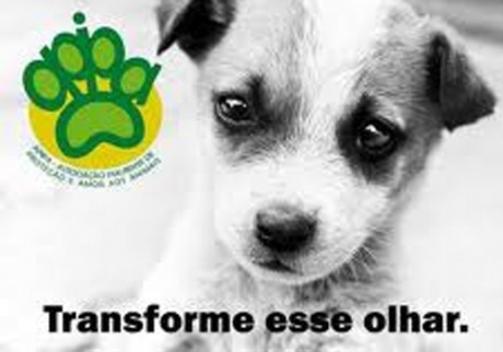 Com estoque zerado, Apipa pede doação de ração para cães e gatos em Teresina
