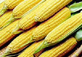 Ceapi espera vender 37 mil toneladas de produtos típicos nas festas juninas
