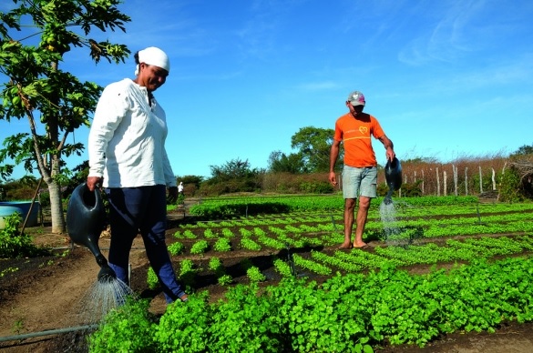 Mulheres do Piauí terão assistência técnica de inclusão produtiva rural