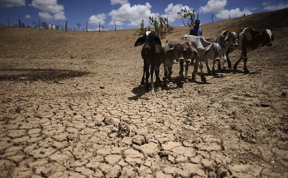 Convivência com a seca será ensinada à alunos da rede pública
