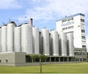 Ambev abre programa de trainee 2013 vagas têm salário inicial de 5 mil reais