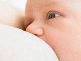 Evangelina Rosa precisa de doação de leite humano