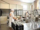 Apicultura faz do Piauí o maior produtor de mel do Brasil