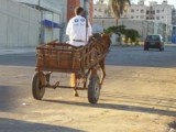 60 carroceiros serão contratados por empresa de limpeza