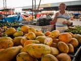 Piauí terá categorização dos serviços de alimentação
