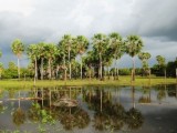 Terra dos Carnaubais: a vista que os olhos querem ver
