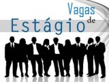 Estudantes em todo o país têm mais de 4 mil oportunidades de estágio