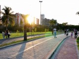 Potycabana possui campanha de conscientização para o passeio com os animais